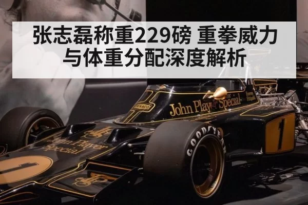 张志磊称重229磅 重拳威力与体重分配深度解析 - huatihui