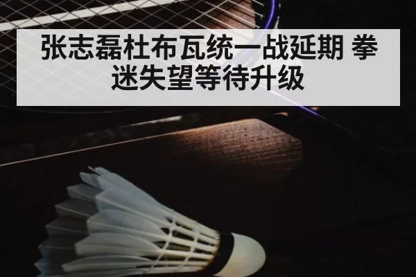 张志磊杜布瓦统一战延期 拳迷失望等待升级 - huatihui